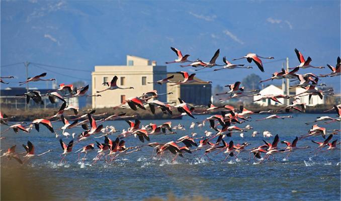 Lo Trabucador Casa Nueva En El Corazon Del Delta Villa Ел Побленоу дел Делта Екстериор снимка